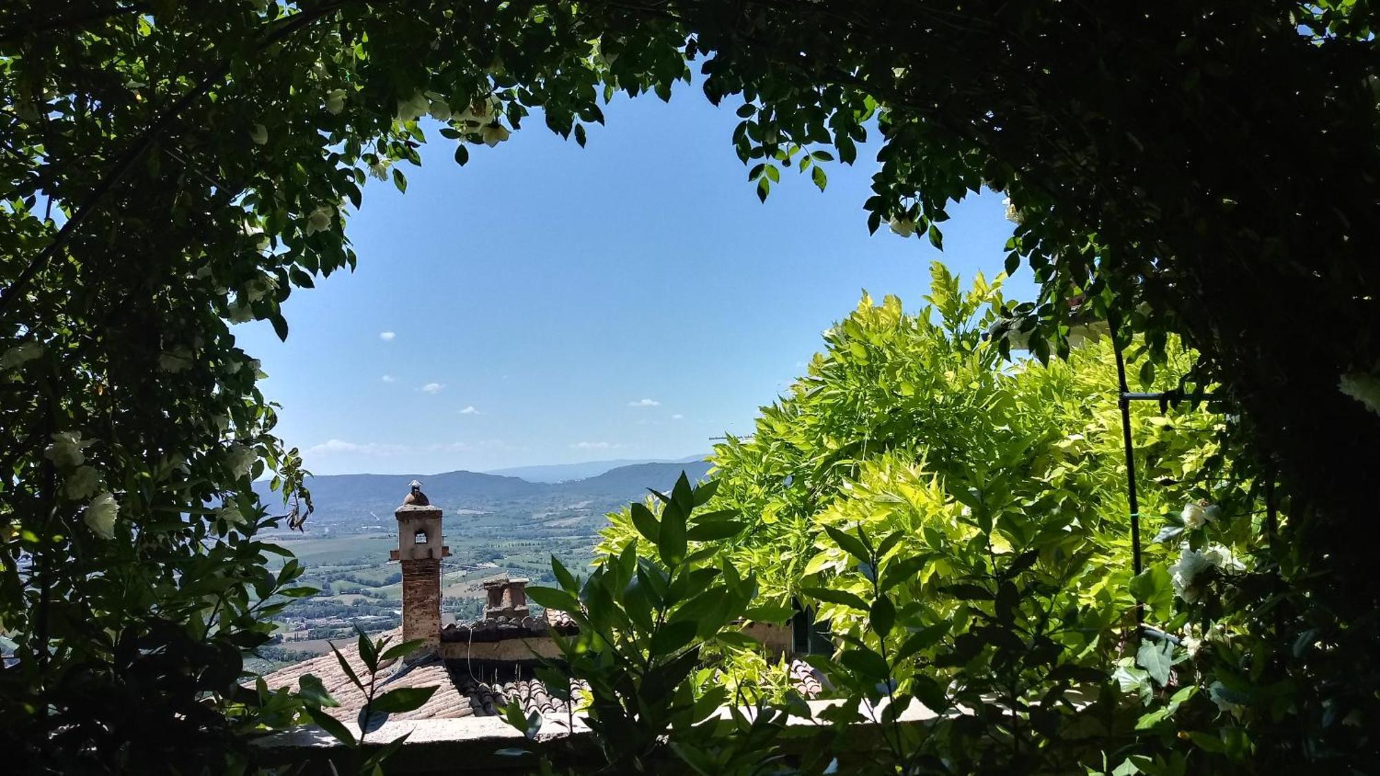 Homestay La Casa Di Paola *
