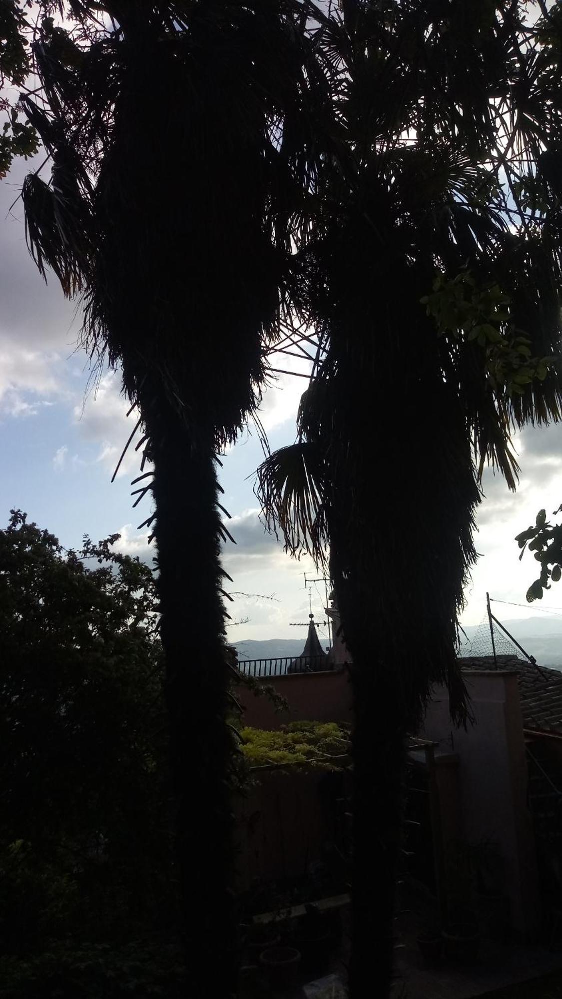 La Casa Di Paola Homestay *
