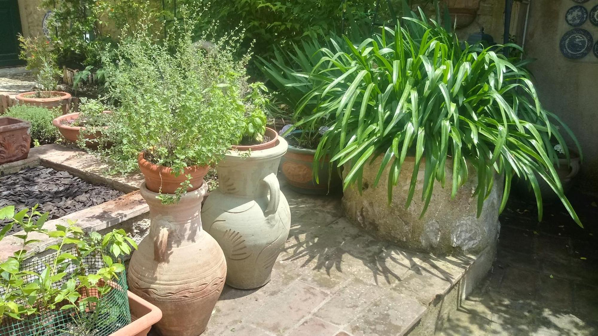 La Casa Di Paola Homestay Terni